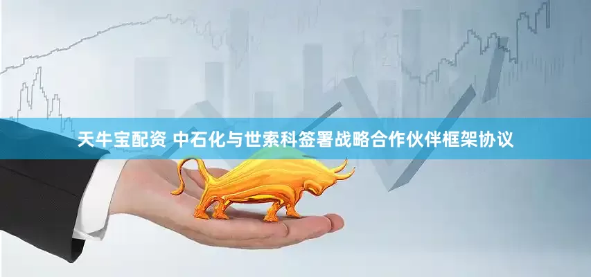 天牛宝配资 中石化与世索科签署战略合作伙伴框架协议