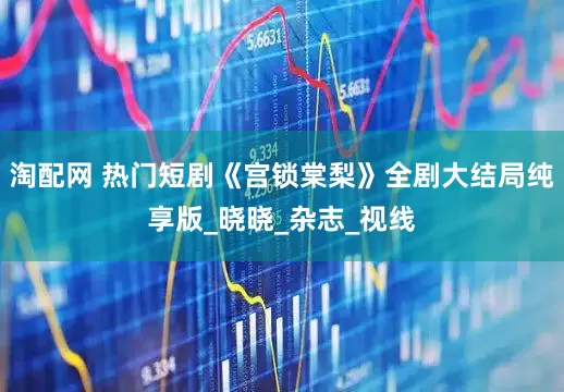 淘配网 热门短剧《宫锁棠梨》全剧大结局纯享版_晓晓_杂志_视线
