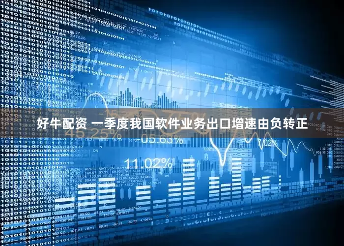 好牛配资 一季度我国软件业务出口增速由负转正